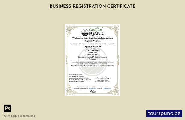 listo para imprimir Plantilla de certificado orgánico de empresa en Word y PDF d